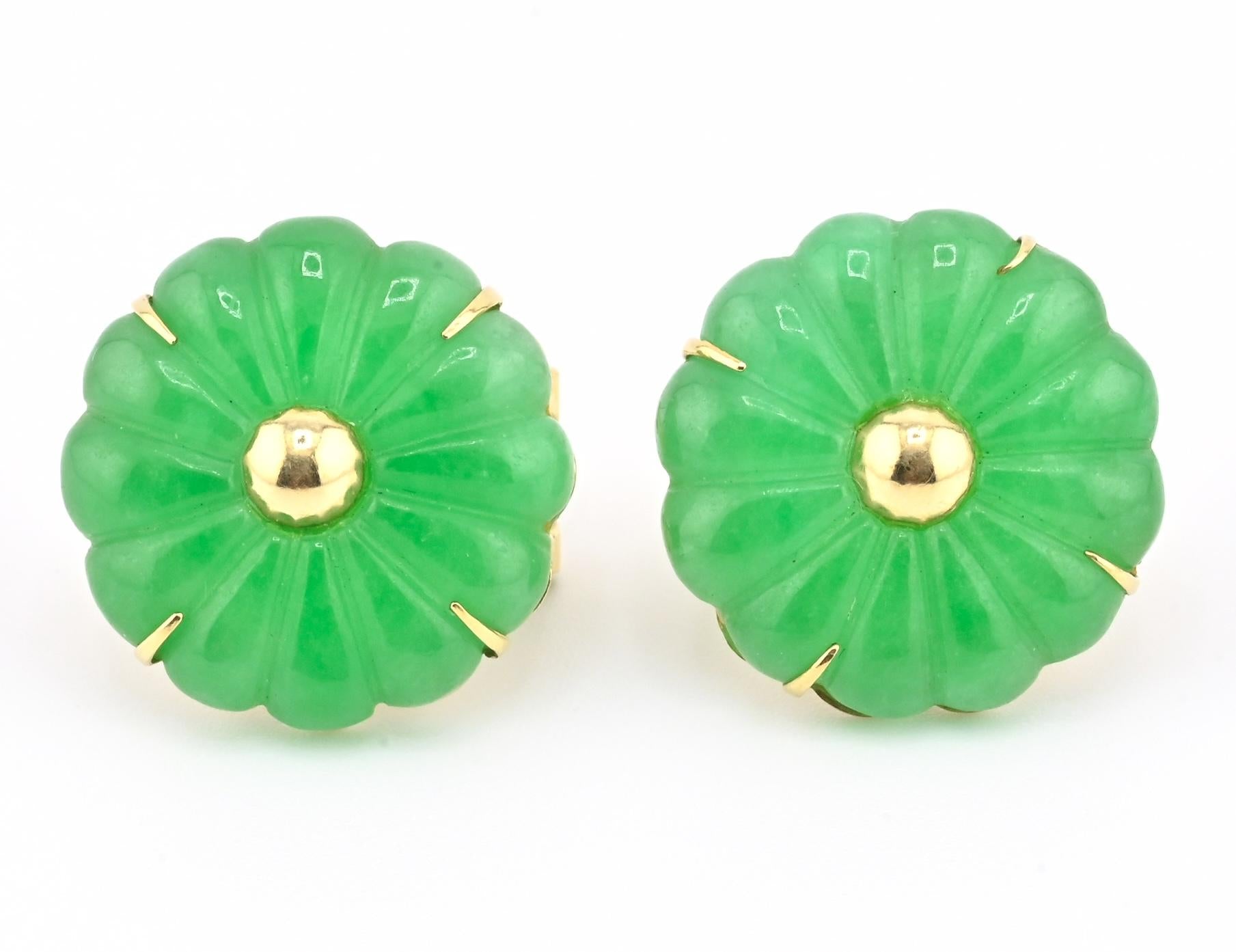 14K Yellow Gold Natural Jade Jadeite Earrings 6.4 DWT IGI Certified