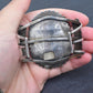 Stunning Vintage Navajo Sterling Zuni Petit Point Turquoise Cuff
