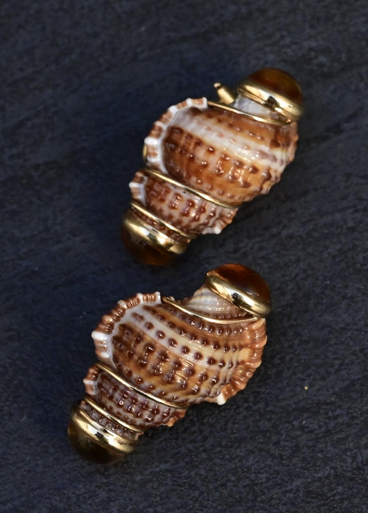 Beautiful Pair Of 14K Maz Seashell Earrings Seaman Schepps Style