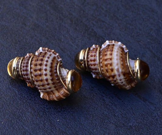 Beautiful Pair Of 14K Maz Seashell Earrings Seaman Schepps Style