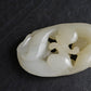Antique Chinese Carved White Jade Toggle 60.97g – Mythical Beast 3" x 1.75"