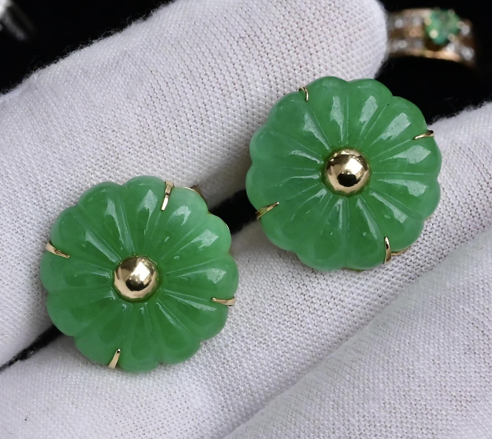 14K Yellow Gold Natural Jade Jadeite Earrings 6.4 DWT IGI Certified