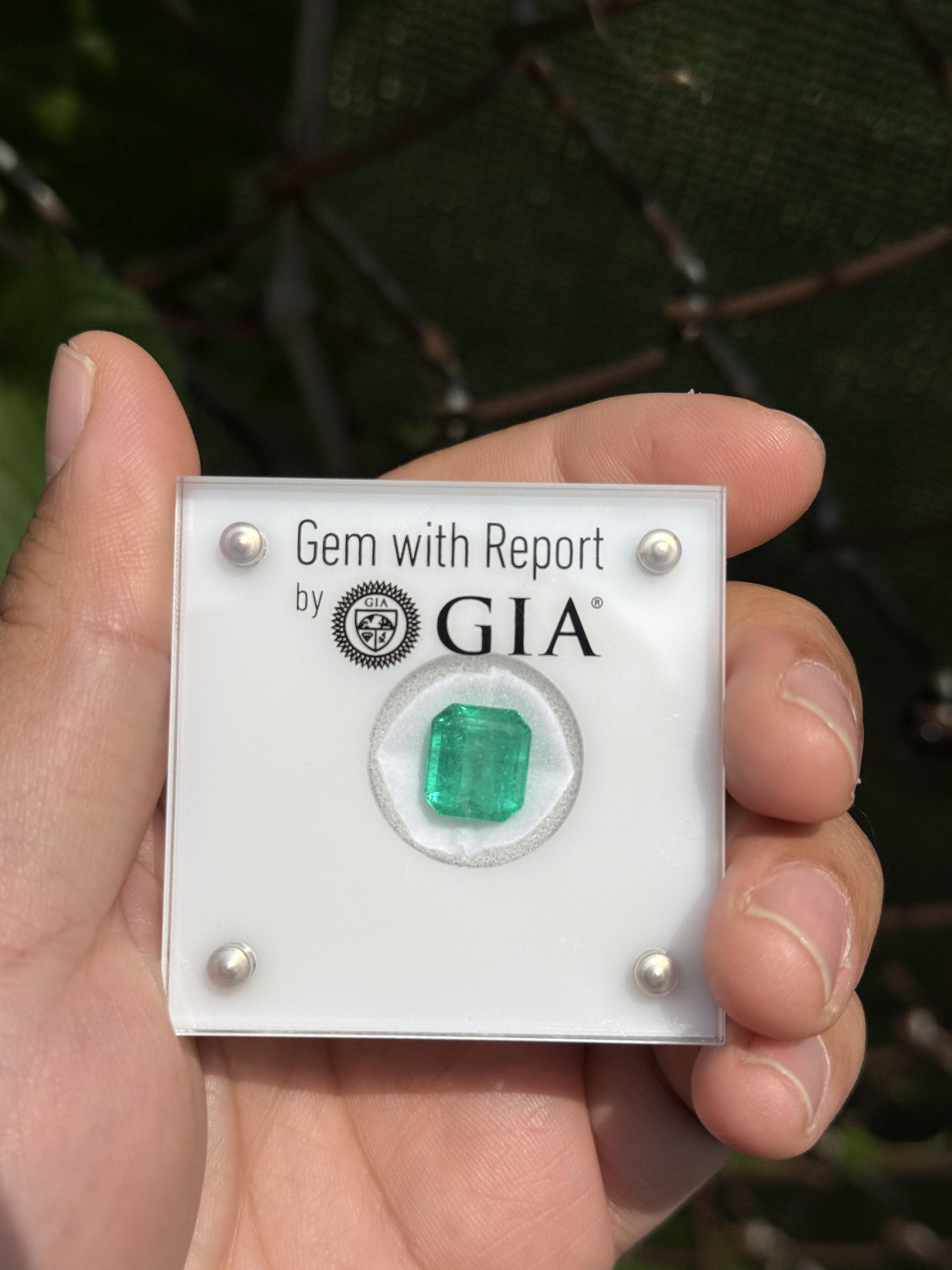 GIA Certified 5.33ct Colombian Emerald Loose Stone – F1 Minor Oil, Rare Clean