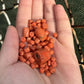 Gorgeous Chinese / Tibetan Coral Loose Beads Necklace 36.5 Grams