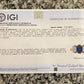 14K Yellow Gold IGI Certified Natural Sapphire & Aquamarine Ring Size 5.75