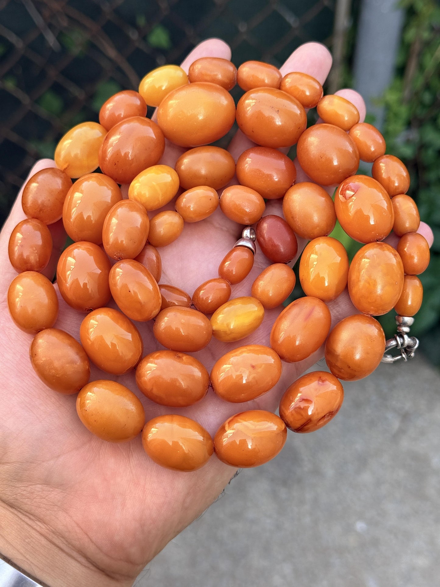 Antique Baltic Butterscotch Yolk Amber Graduated Oval Bead Necklace - 143g 40"