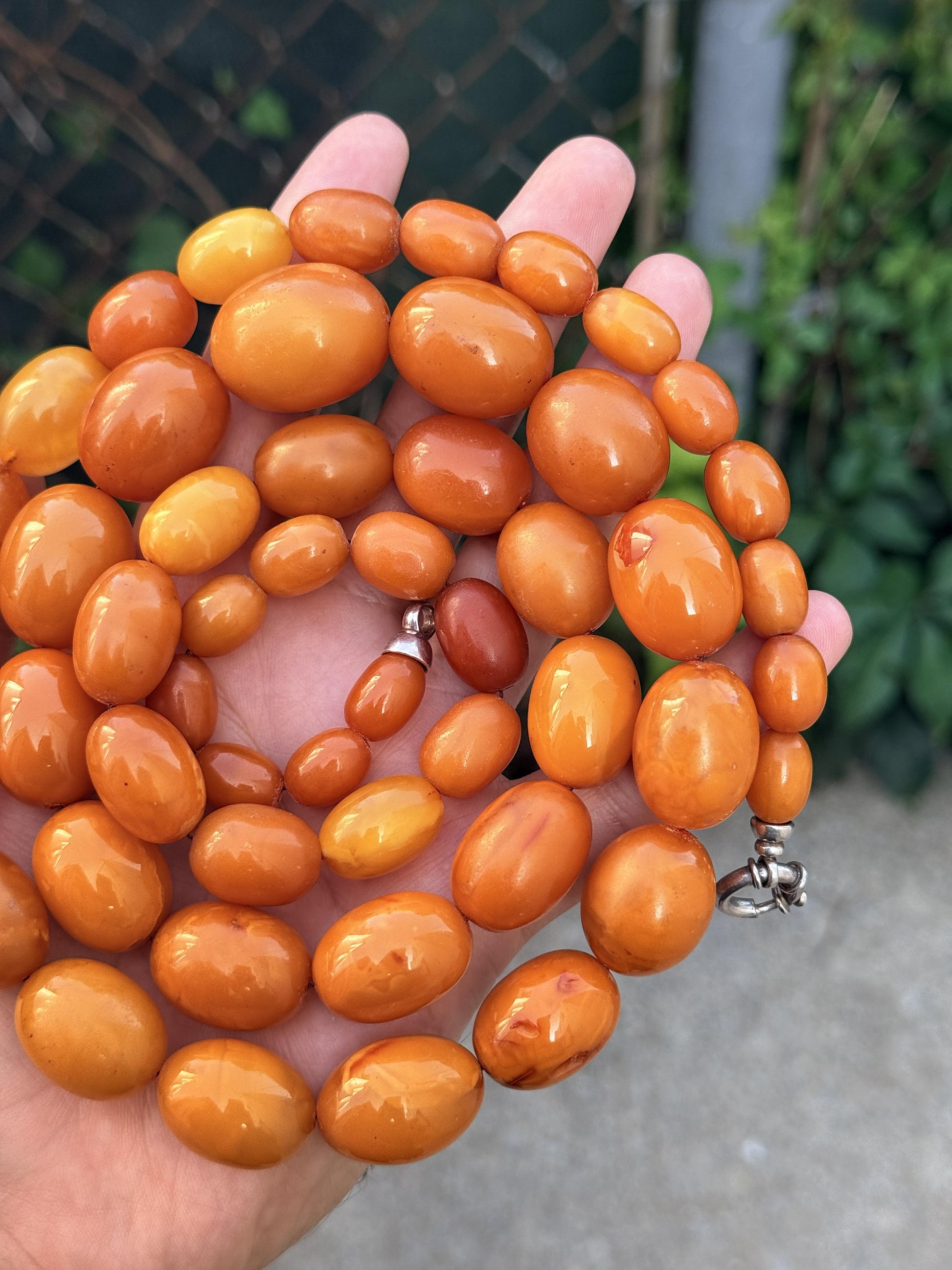 Antique Baltic Butterscotch Yolk Amber Graduated Oval Bead Necklace - 143g 40"