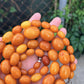 Antique Baltic Butterscotch Yolk Amber Graduated Oval Bead Necklace - 143g 40"