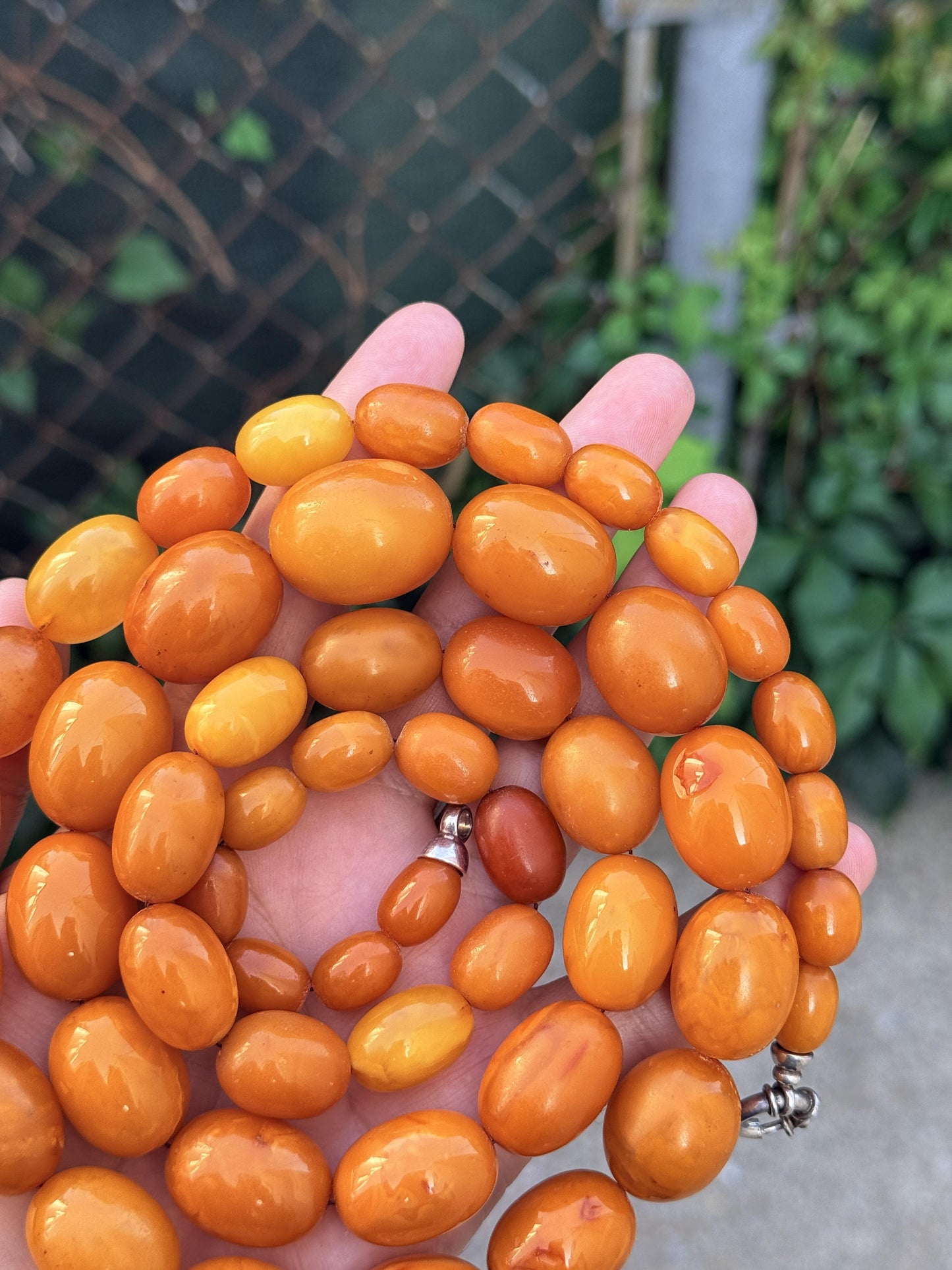 Antique Baltic Butterscotch Yolk Amber Graduated Oval Bead Necklace - 143g 40"