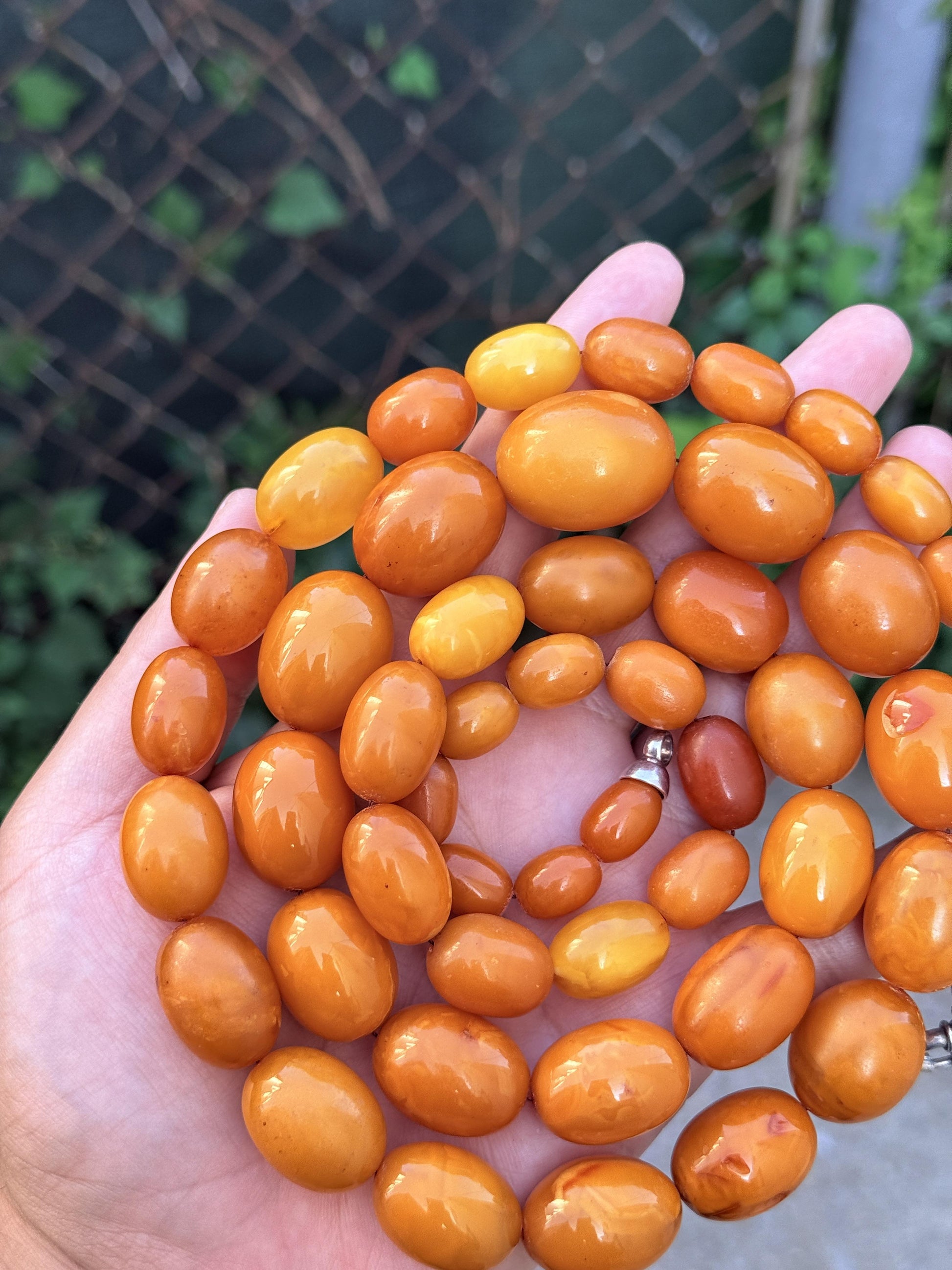 Antique Baltic Butterscotch Yolk Amber Graduated Oval Bead Necklace - 143g 40"