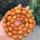 Antique Baltic Butterscotch Yolk Amber Graduated Oval Bead Necklace - 143g 40"