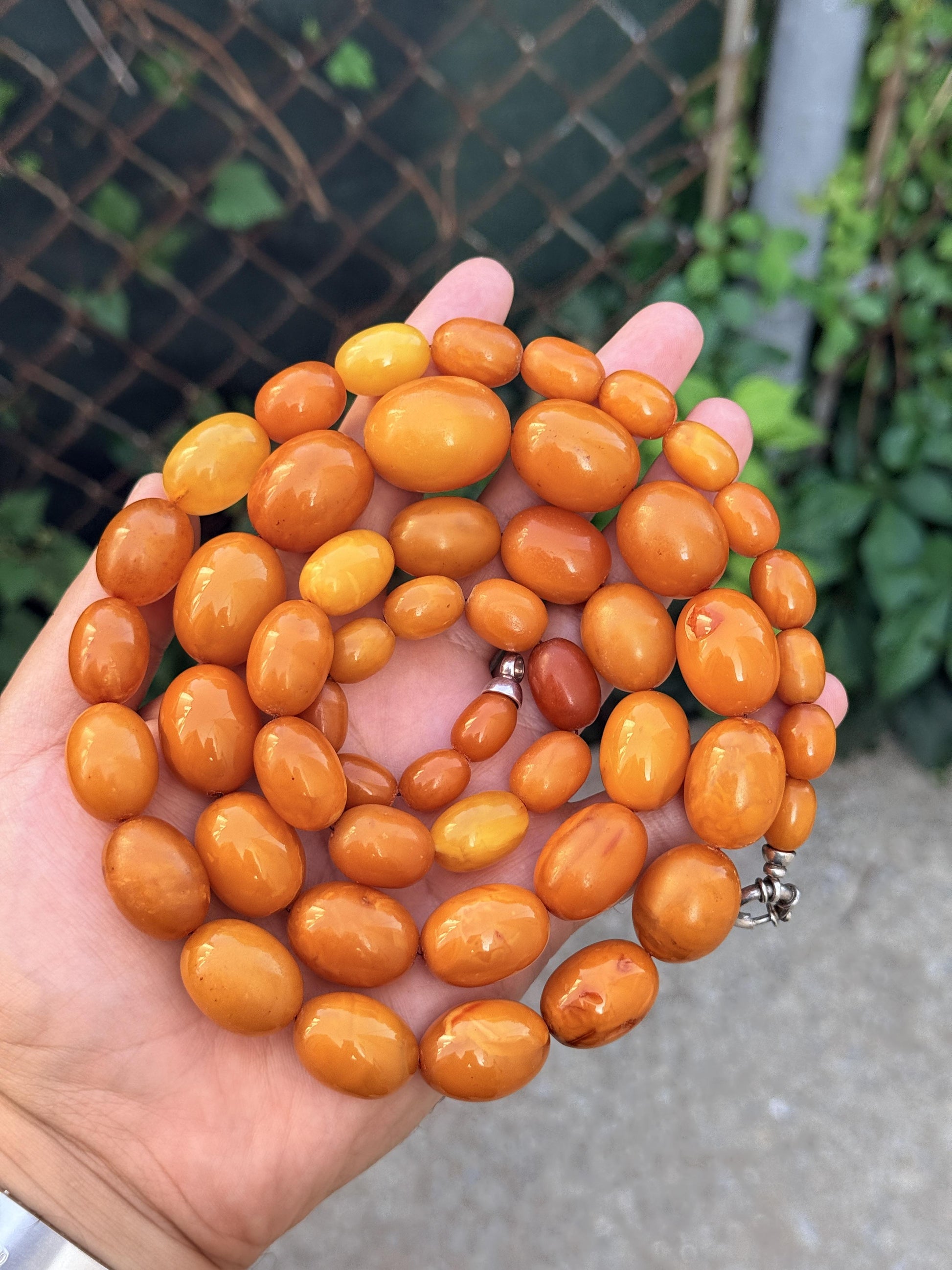 Antique Baltic Butterscotch Yolk Amber Graduated Oval Bead Necklace - 143g 40"
