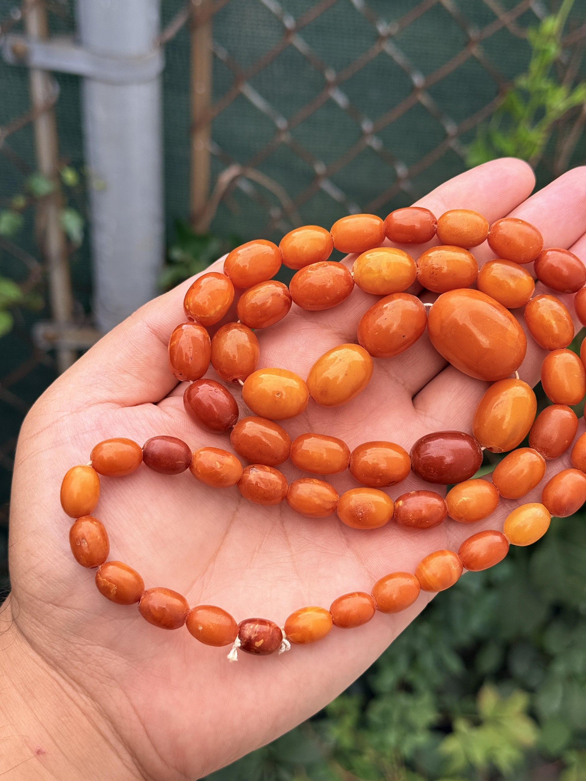 Antique Early 20th Century Natural Butterscotch Amber Bead Necklace 56.44 Grams