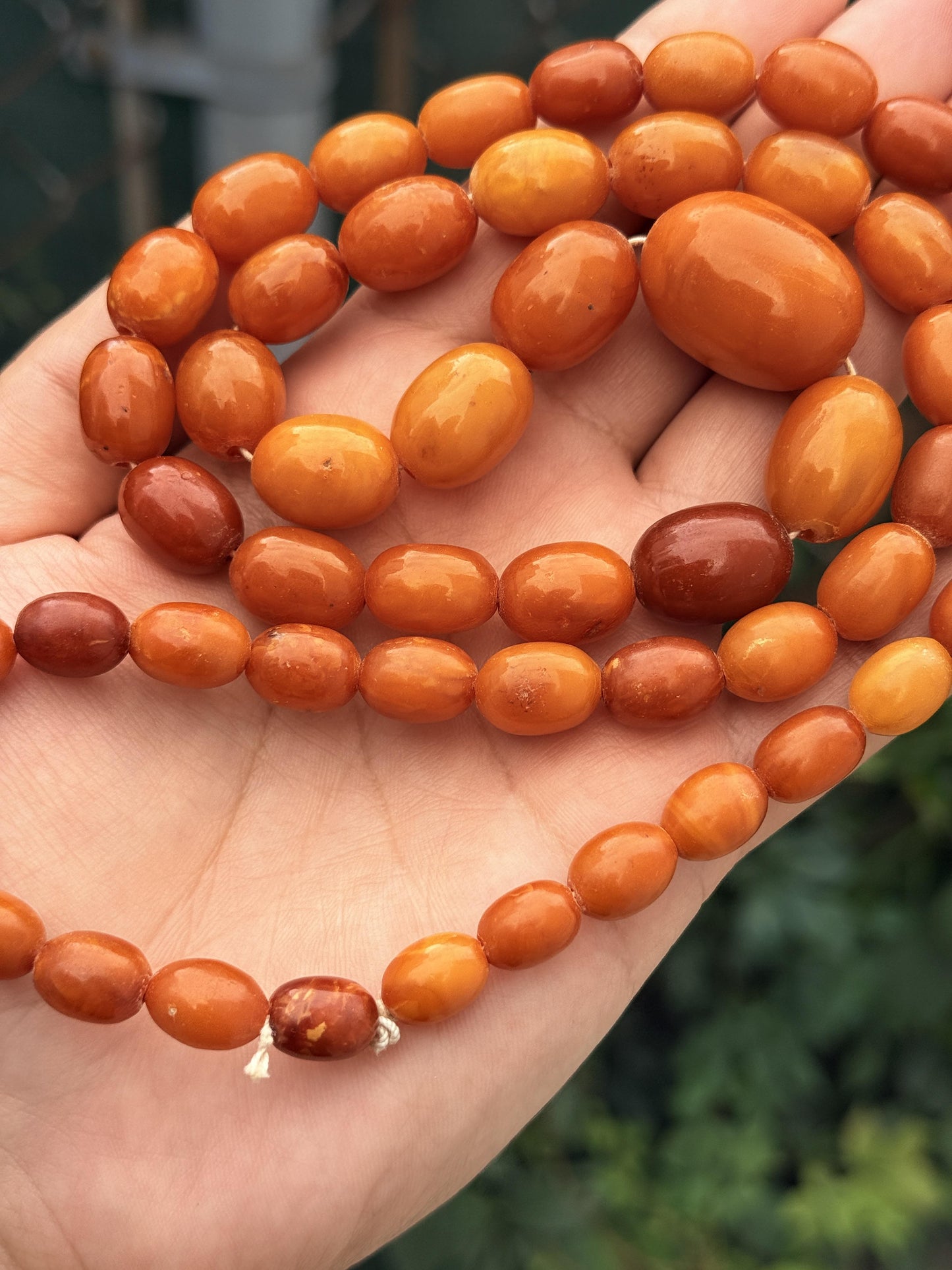 Antique Early 20th Century Natural Butterscotch Amber Bead Necklace 56.44 Grams