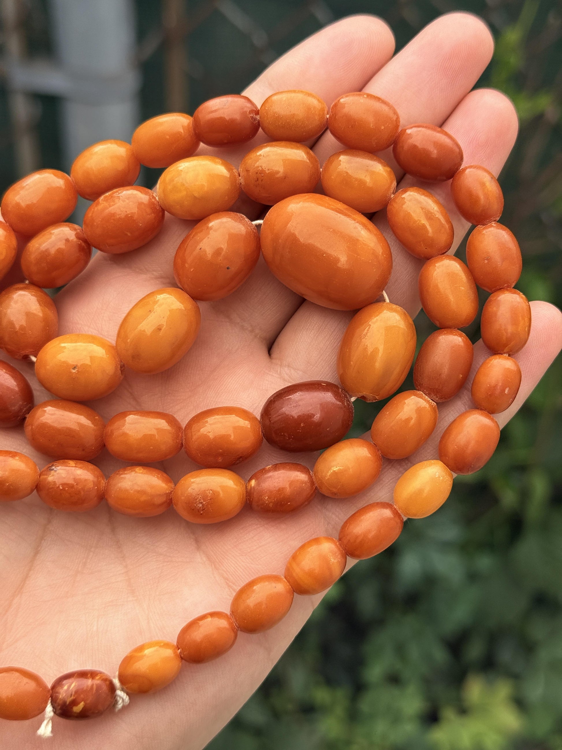 Antique Early 20th Century Natural Butterscotch Amber Bead Necklace 56.44 Grams