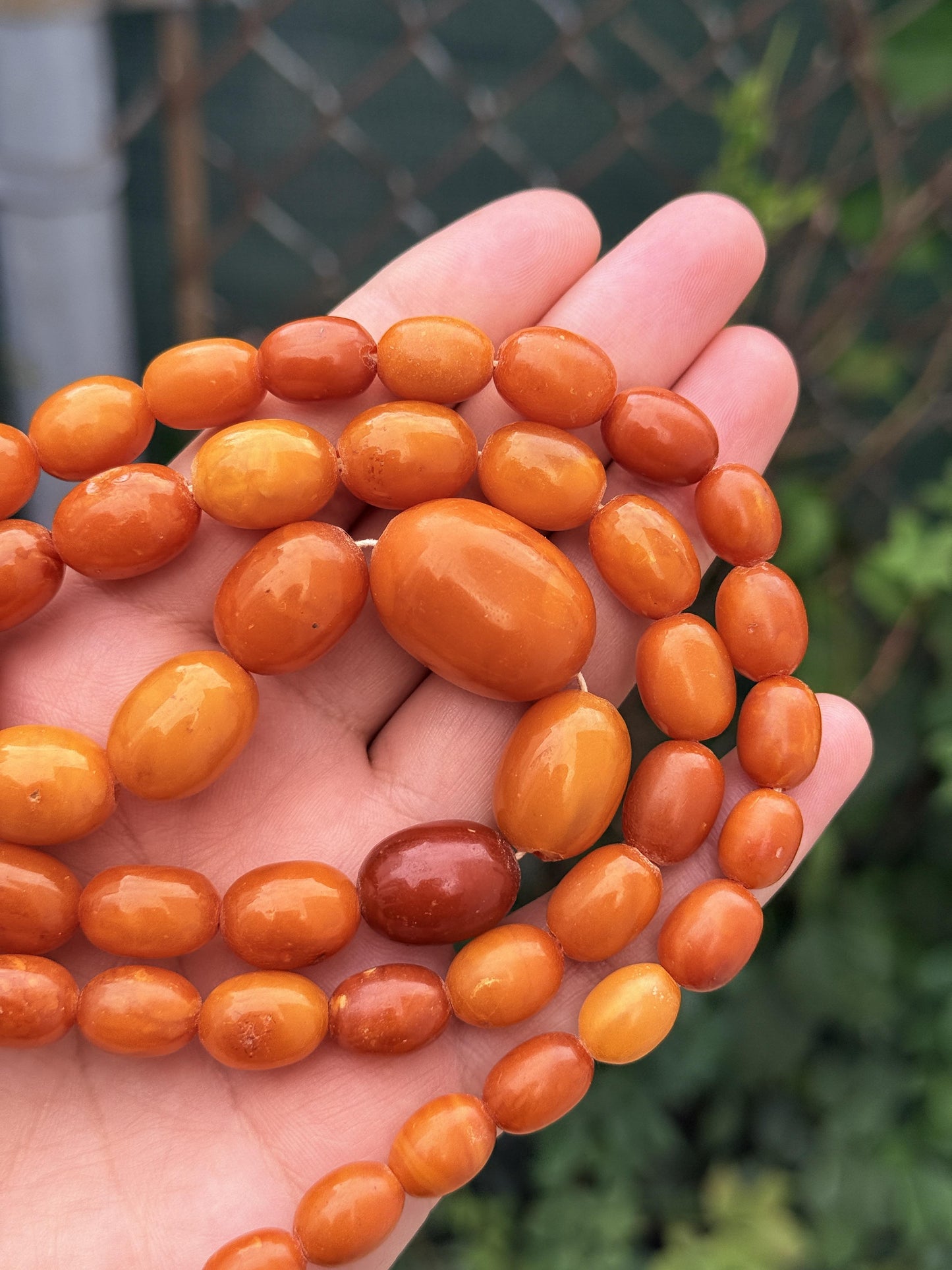 Antique Early 20th Century Natural Butterscotch Amber Bead Necklace 56.44 Grams