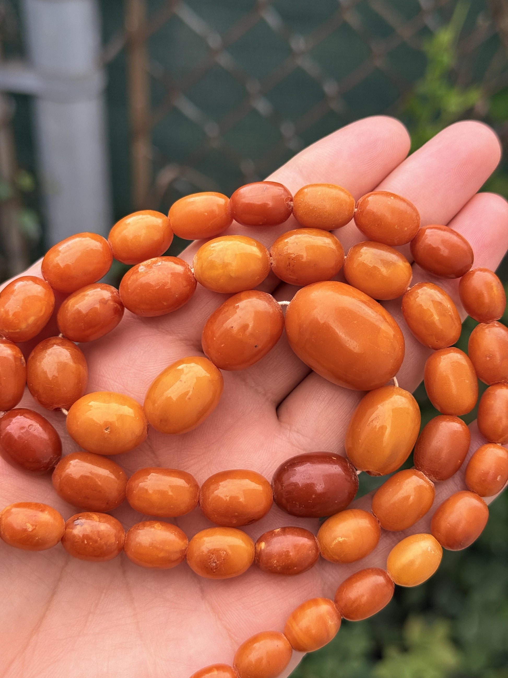 Antique Early 20th Century Natural Butterscotch Amber Bead Necklace 56.44 Grams