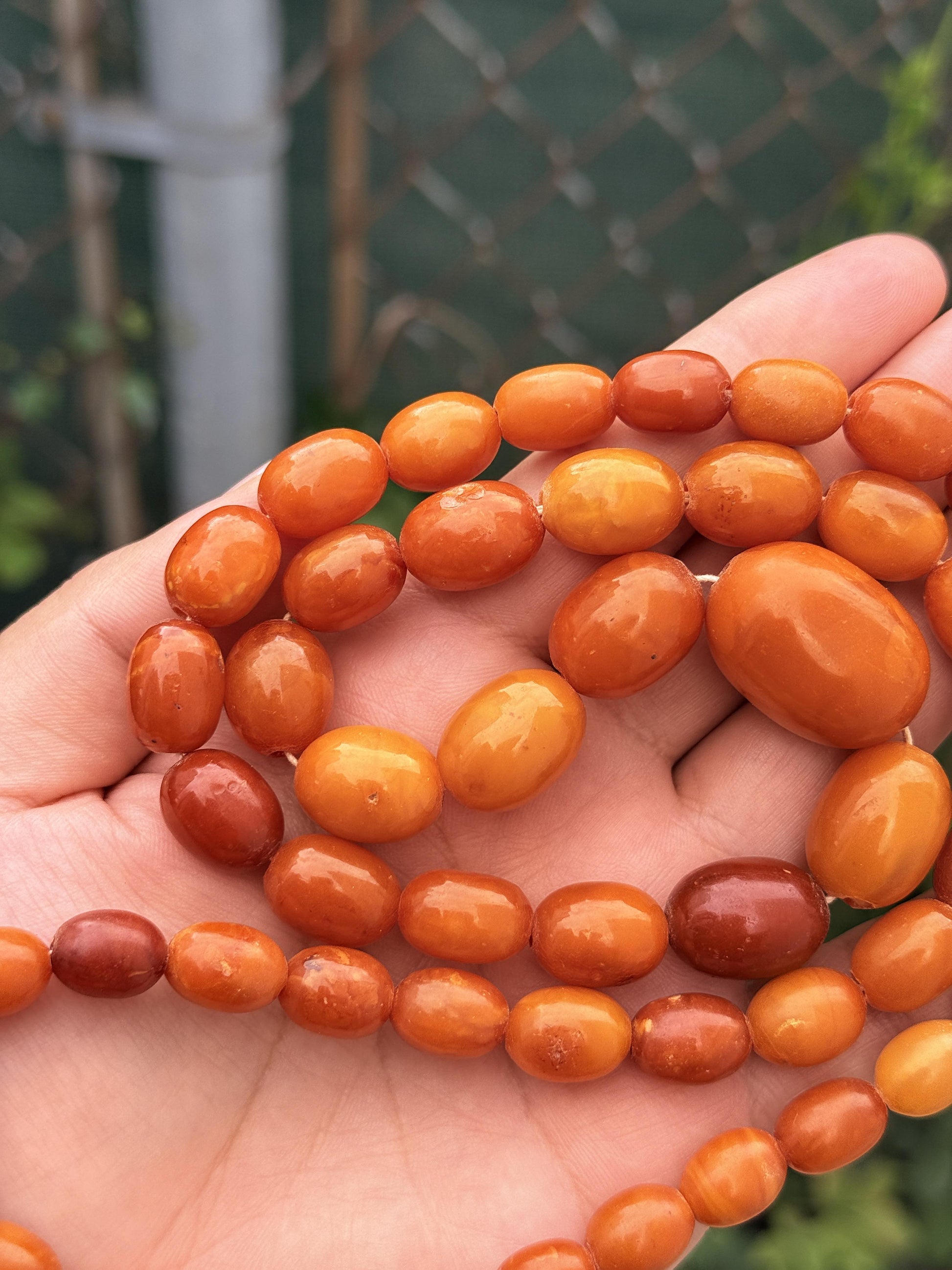 Antique Early 20th Century Natural Butterscotch Amber Bead Necklace 56.44 Grams