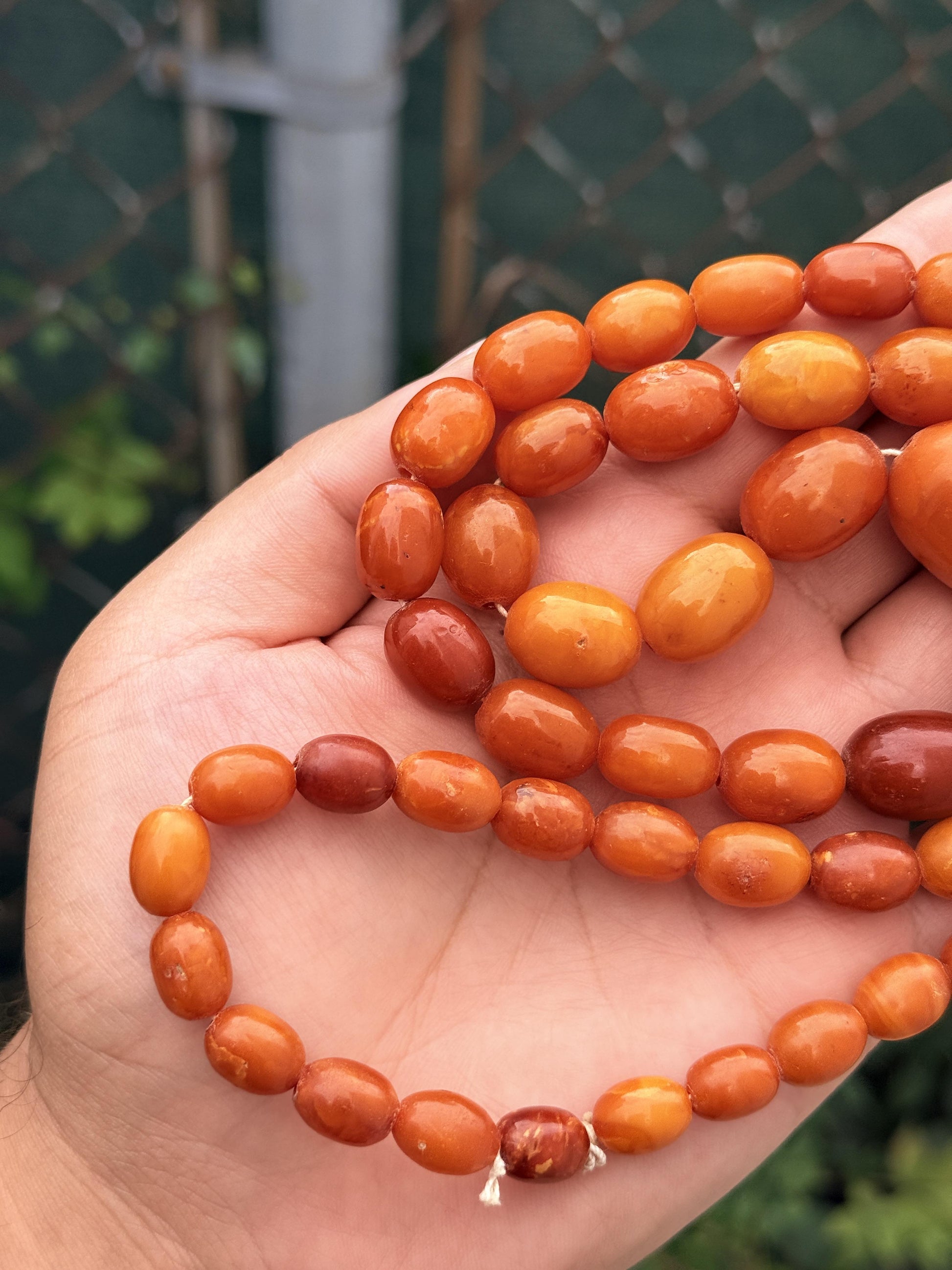 Antique Early 20th Century Natural Butterscotch Amber Bead Necklace 56.44 Grams