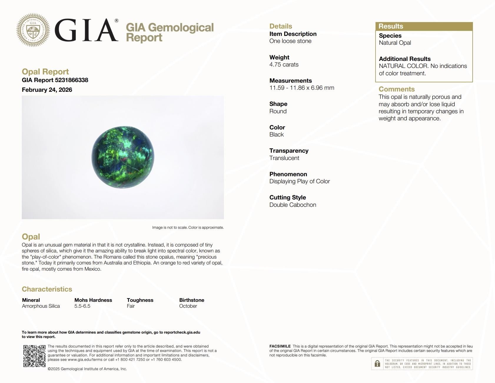 Investment GIA 4.75ct Black Opal Diamond Halo Ring - .900 Platinum - Rare