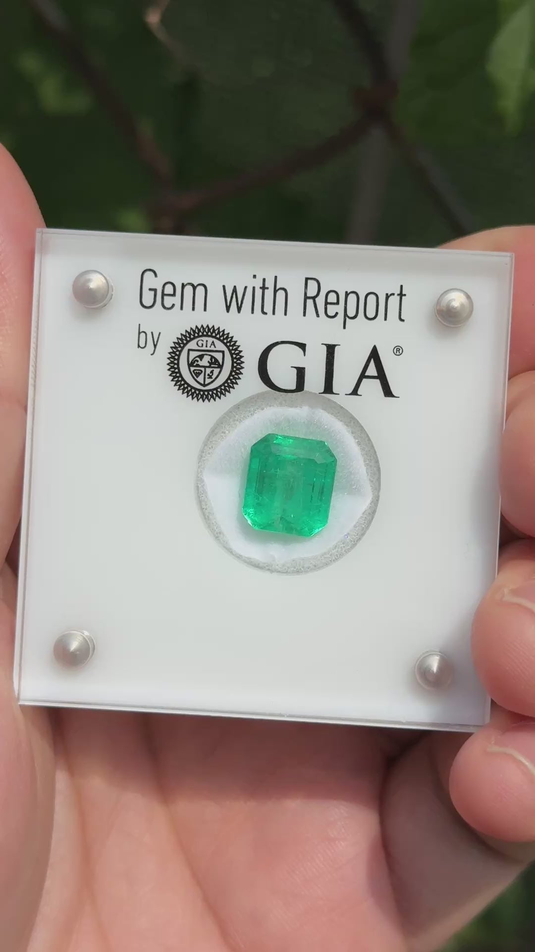 GIA Certified 5.33ct Colombian Emerald Loose Stone – F1 Minor Oil, Rare Clean
