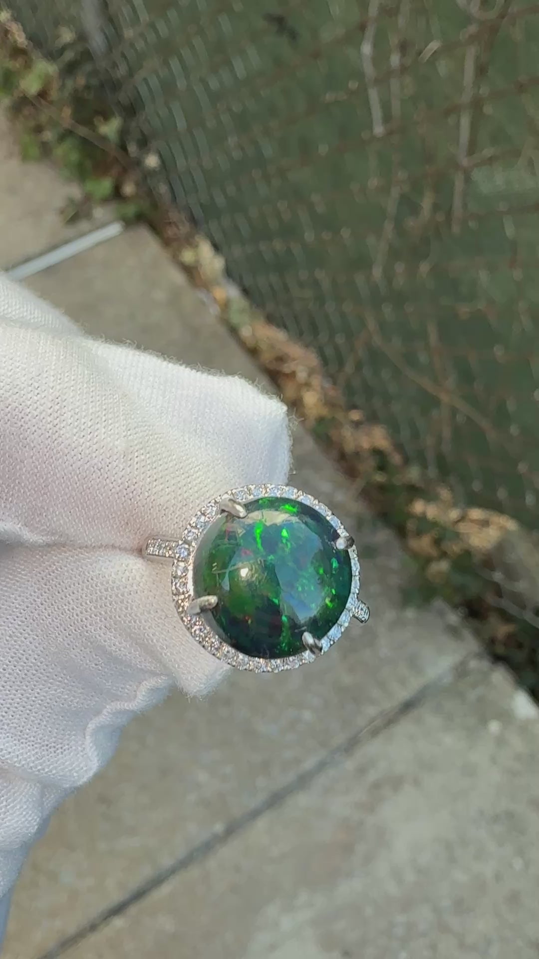 Investment GIA 4.75ct Black Opal Diamond Halo Ring - .900 Platinum - Rare