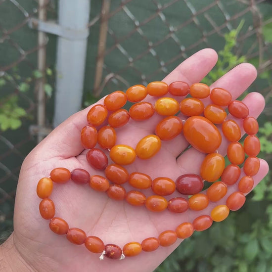 Antique Early 20th Century Natural Butterscotch Amber Bead Necklace 56.44 Grams