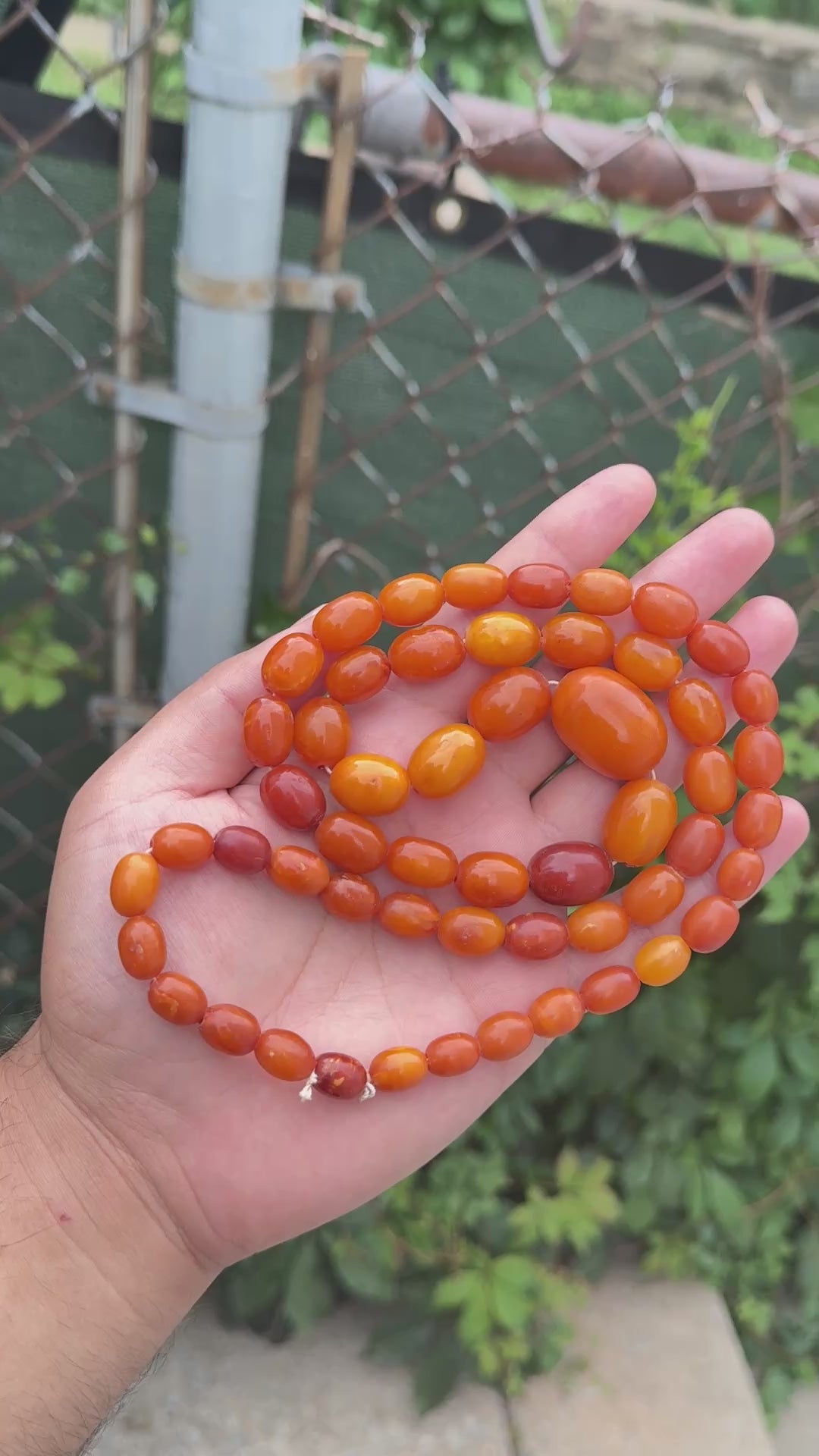 Antique Early 20th Century Natural Butterscotch Amber Bead Necklace 56.44 Grams