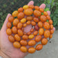 Antique Baltic Butterscotch Yolk Amber Graduated Oval Bead Necklace - 143g 40"