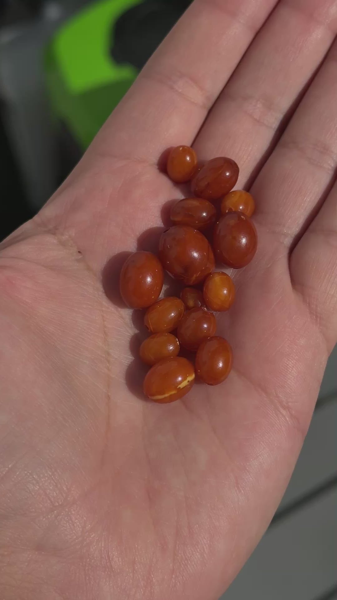 Beautiful Antique Amber Beads Lot 7.38 Grams